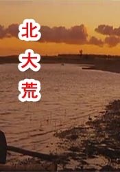 在线视频午夜